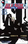 Bleach 15 (Beginning of Death Tomorrow) - Tite Kubo
