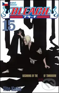Bleach 15 (Beginning of Death Tomorrow) - Tite Kubo