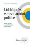 Lidská práva v mezinárodní politice - Pavel Dufek, Hubert Smekal - kniha z kategorie Právo