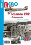 Aero: Salmson 2A2 v Československu - Jan Kaše, Petr Lukeš - kniha z kategorie Historie
