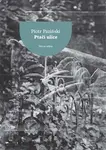 Ptačí ulice - Piotr Paziński - kniha z kategorie Společenská beletrie