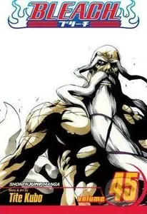 Bleach 45 - Tite Kubo
