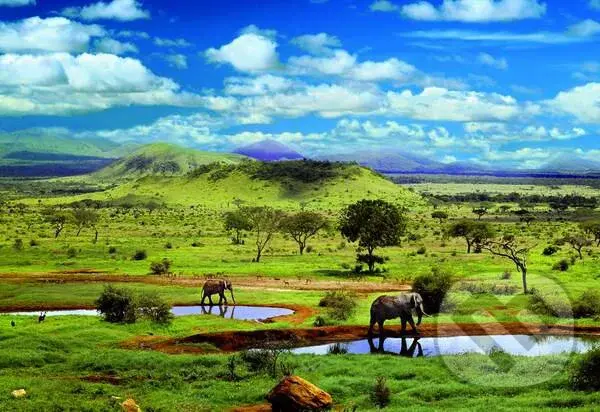 Tsavo National Parc, Kenya - puzzle z kategorie Zvieratá