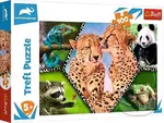 Krása prírody / Discovery Animal Planet - puzzle z kategorie Do 500 dílků