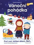 Vánoční pohádka (Proč nosí Ježíšek dětem dárky?) - Daniela Krolupperová, Michaela Bergmannová (ilustrátor)