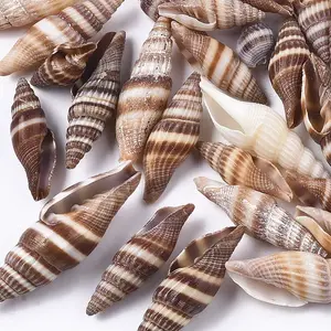 Natural Spiral Shell Beads