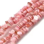 Natural Freshwater Shell Beads
