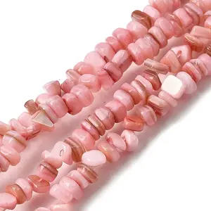 Natural Freshwater Shell Beads