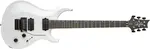 PRS Tekton Floyd White Holoflake