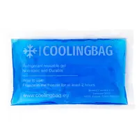 COOLINGBAG Gelový chladící polštářek