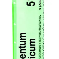 Boiron ARGENTUM NITRICUM CH5 granule 4 g