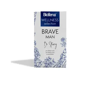 Biogena WELLNESS colection Brave man porcovaný čaj 20x2 g