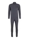 UNDER ARMOUR Športový úbor 'Emea'  sivá / čierna