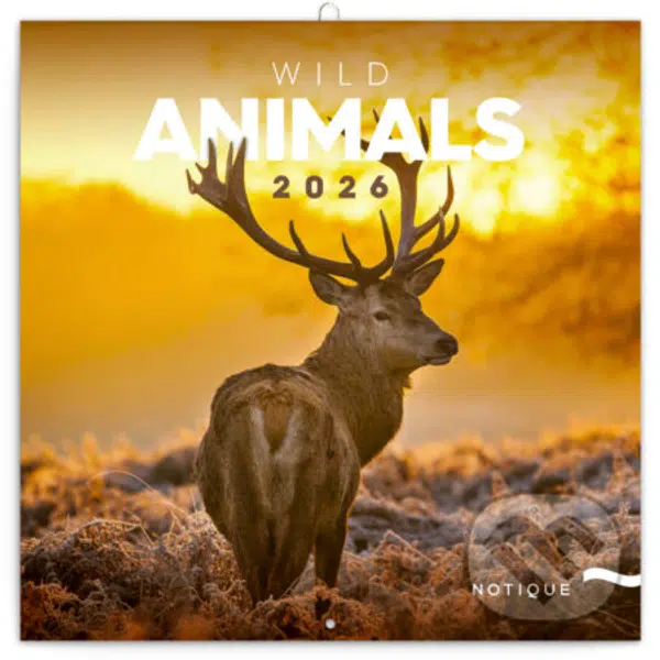 NOTIQUE Nástenný poznámkový kalendár Wild animals (Divoké zvieratá) 2026