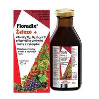 SALUS Floradix Železo +