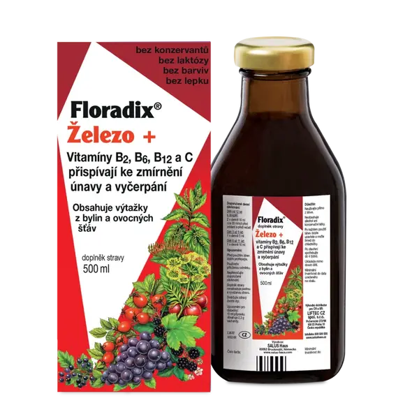 SALUS Floradix Železo +