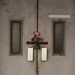 White Fruit Honey – flowers