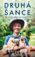 Druhá šance: Jak mě pouliční psi naučili žít - Niall Harbison - e-kniha