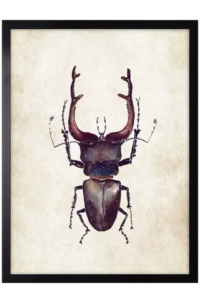 Nástěnná dekorace na zarámovaném papíře 30x40 cm