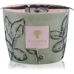 Baobab Collection Folia Maquis vonná svíčka 500 g