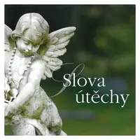 Slova útěchy (Různí interpreti) (CD)
