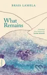 What Remains - Brais Lamela - kniha z kategorie Společenská beletrie