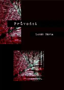 Průvodci (poškozená) - Lukáš Bárta