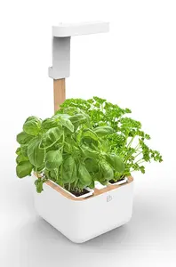 Veritable - Inteligentný kvetináč Botaneo Eylo