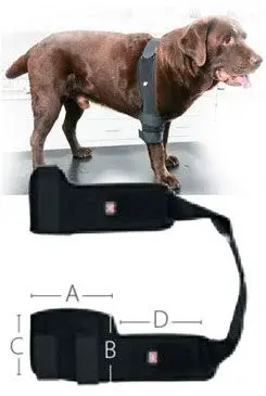 Bandáž rehab pro na loket pes Kruuse L levá