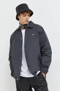 Dickies Bunda Dickies