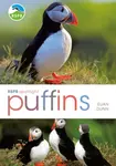 RSPB Spotlight: Puffins - Euan Dunn