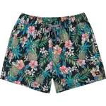 SAXX OH BUOY 2N1 VOLLEY 5 Pánske plavecké šortky, mix, veľkosť