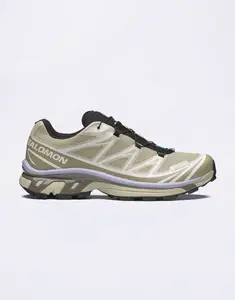 Salomon XT-6 Gore-Tex Eucalyptus/Silves/Cosmic 42 2/3