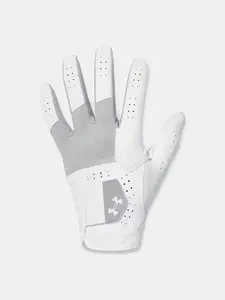 Men's gloves Under Armour Glide Iso-Chill Pro - Men's