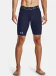 Pánske kraťasy Under Armour