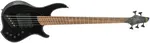Dingwall JT3 John Taylor Signature 5 PF Stealth