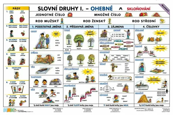Slovní druhy - Slovesa