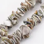 Natural Shell Bead Strands
