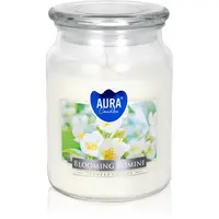 BISPOL Premium Line Jasmine vonná svíčka 500 g