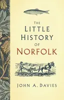 The Little History of Norfolk - John A. Davies