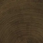 Dlažba Emil W-Circles wenge 10x10 cm mat 00ENJF68