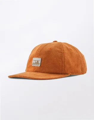 Patagonia Corduroy Cap '73 Skyline: Robin Brown