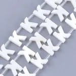 Freshwater Shell Beads