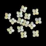 Dyed & Heated Glass Bead Caps