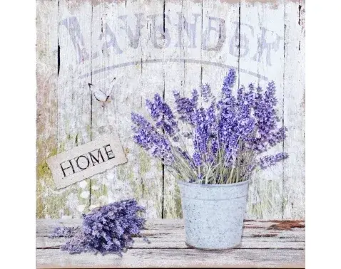 Obraz na plátně Levandule zátiší Home, 40x40 cm