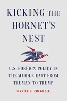 Kicking the Hornet's Nest - Daniel E Zoughbie