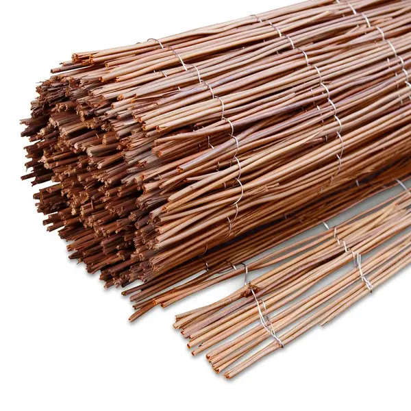 CLONA NA PLOT 300/100 cm