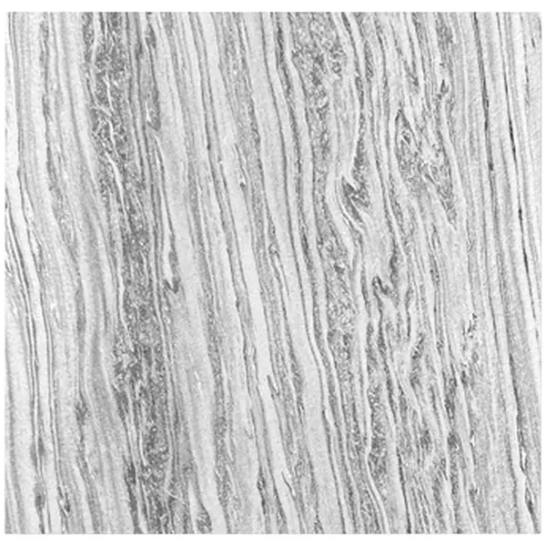 Jangal AKUSTICKÝ PANEL velikost: 52/52/0.7 cm