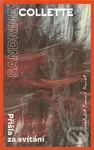 Přišla před úsvitem - Sandrine Collette - kniha z kategorie Beletrie