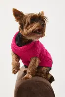 Sveter pre psa Medicine